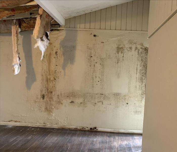 Water damage to ceiling and wall. Mold growth on wall.